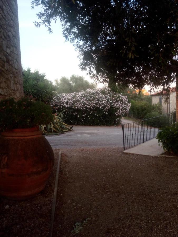 Case Cordovani Magliano in Toscana Eksteriør bilde