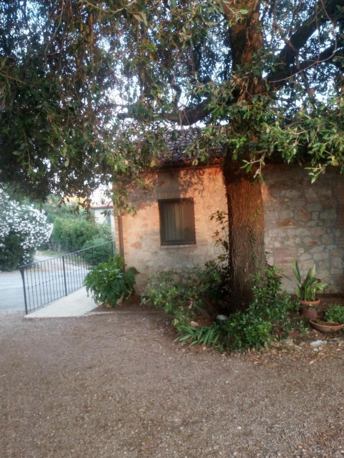 Case Cordovani Magliano in Toscana Eksteriør bilde
