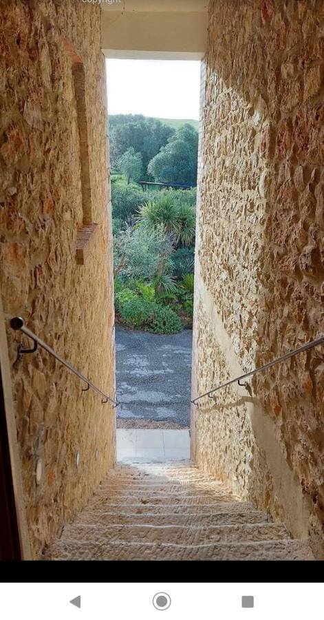 Case Cordovani Magliano in Toscana Eksteriør bilde