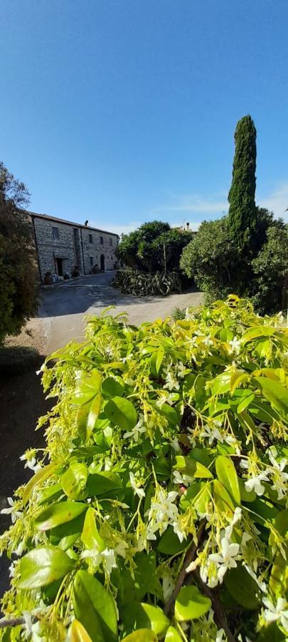 Case Cordovani Magliano in Toscana Eksteriør bilde