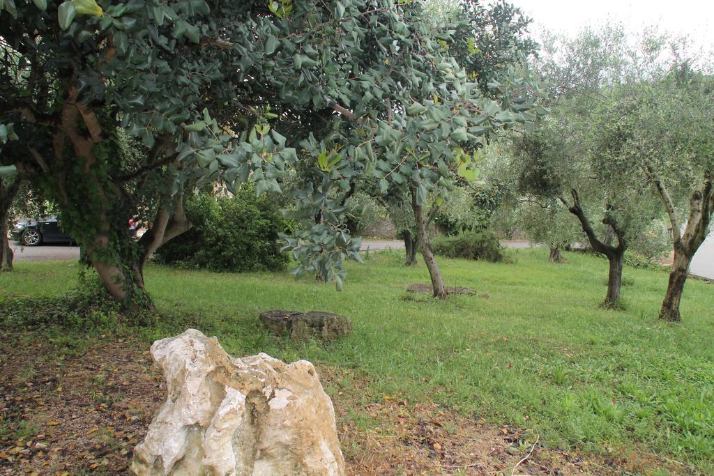 Case Cordovani Magliano in Toscana Eksteriør bilde
